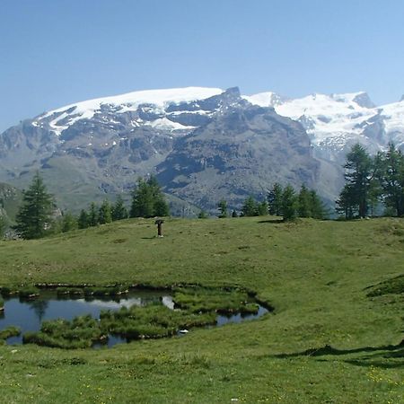 Champoluc Apartment Dış mekan fotoğraf