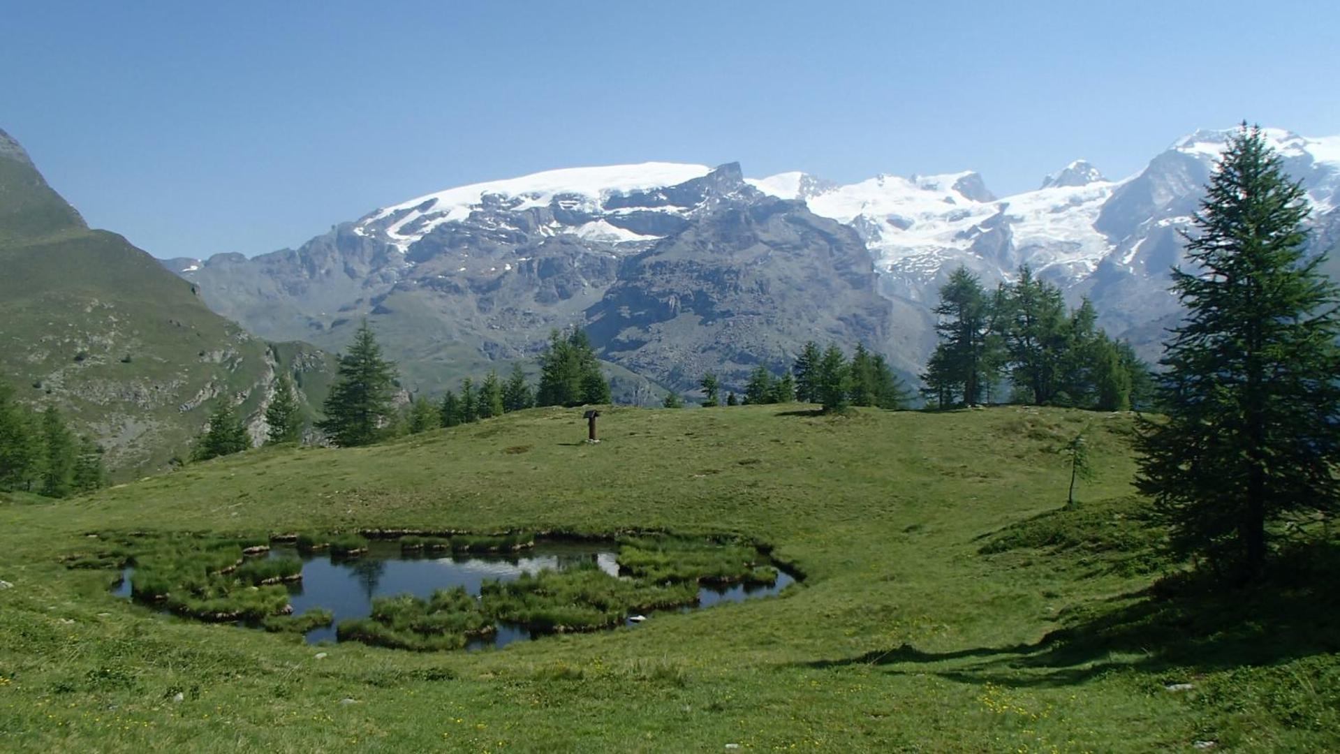 Champoluc Apartment Dış mekan fotoğraf